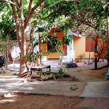 Little Bay Hostel Arugam Bay Exterior foto